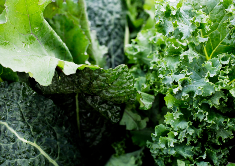 Leafy Greens as Superfoods: Nourishing the Body and Mind